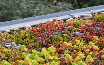 the cost of Apley green roof installation